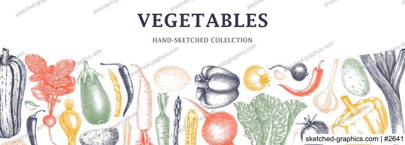 Hand-sketched vegetables design in color. Hand-drawn tomatoes, squashes, peppers, potatoes, asparagus and other vegetables. Healthy food banner for menu, restaurant, packaging. Botanical illustration 