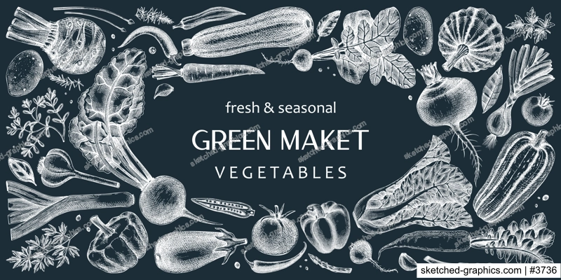 Hand-drawn vegetables vector illustrations on chalkboard. Hand-sketched healthy food collection. Vintage edible plants hand-drawings. Fresh vegetables sketches on chalkboard. 