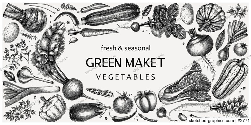 Hand-drawn vegetables vector illustrations. Hand-sketched healthy food collection. Vintage edible plants hand-drawings. Fresh vegetables sketches in engraved style. Design elements for menu or banners