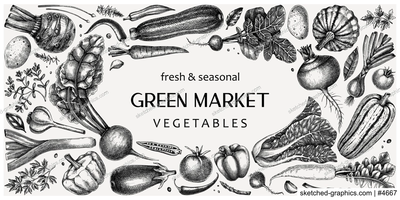 Hand-drawn vegetables vector illustrations. Hand-sketched healthy food collection. Vintage edible plants hand-drawings. Fresh vegetables sketches in engraved style. Design elements for menu or banners