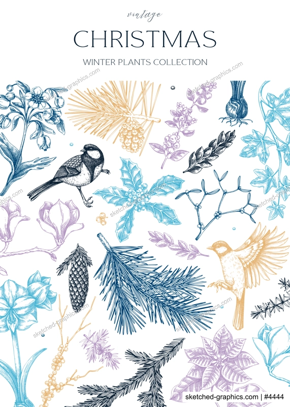 Vintage Christmas card design. Winter nature background. Conifer trees, winter flowers, birds sketches. Hand drawn vector illustration. NOT AI generated