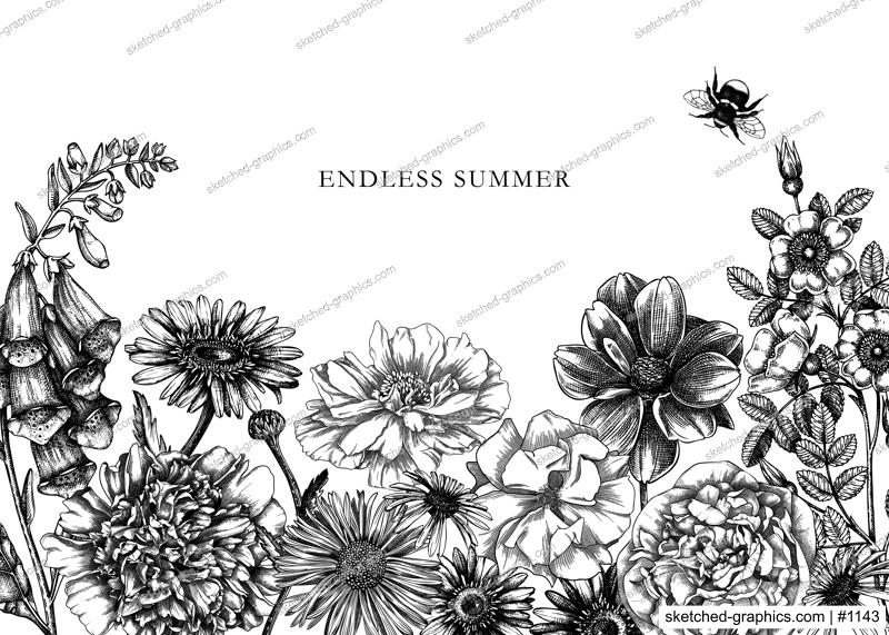 Hand-sketched flower illustrations collection. Vintage summer florals drawing set. Detailed and elegant garden plant on chalkboard. Botanical elements in engraved style.