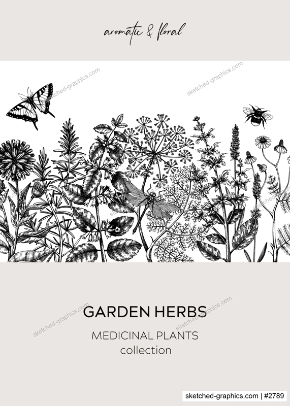 Vintage herbs card or invitation. Aromatic plants frame in sketched style. Botanical design for cosmetics, herbal medicine, herbal tea ingredients. Floral banner