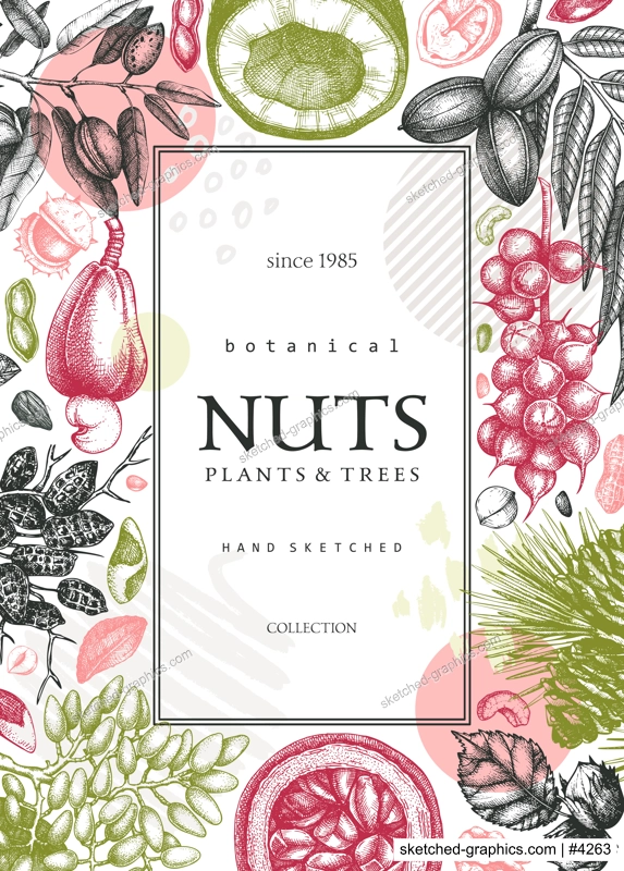 Vector card banner in college style. Vintage nuts sketched frame. Healthy food background with branches, plants, nutshells hand-drawings and abstract shapes. Creative botanical illustrations