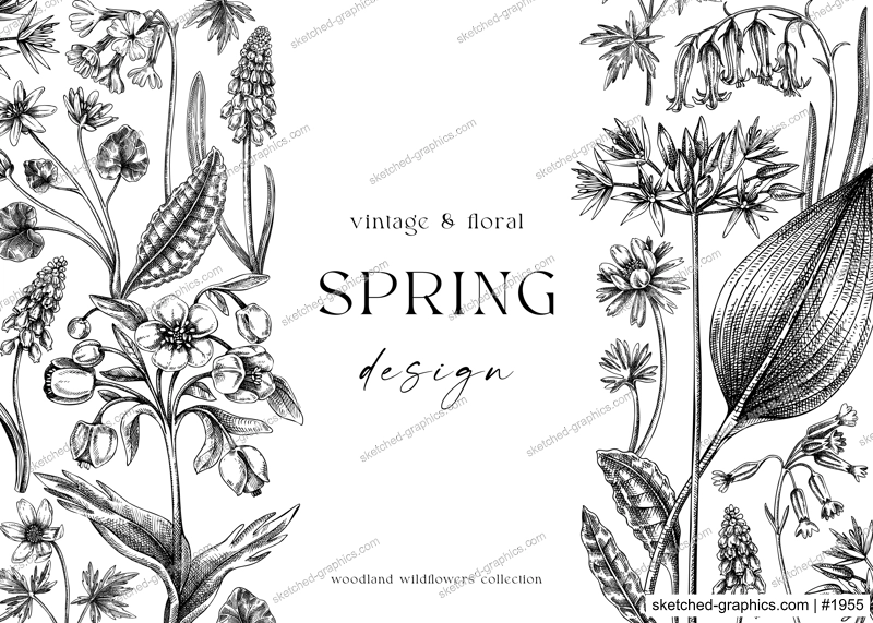 Vintage spring background. Hand drawn vector illustration. Vintage floral frame. Woodland wild flower sketches. Wildflowers design template