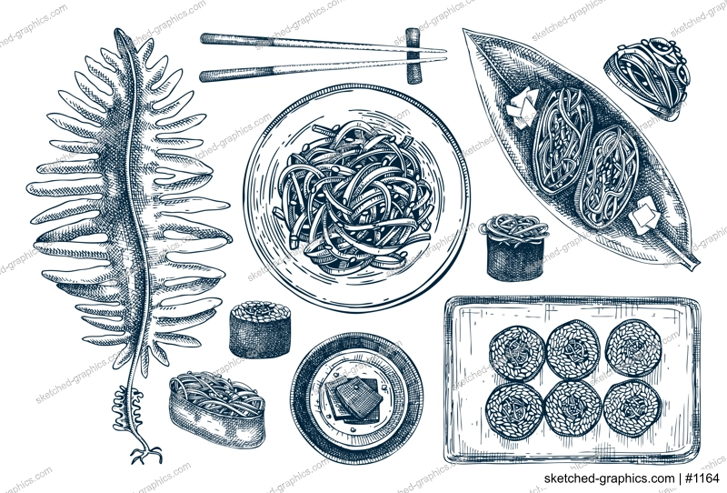 Hand drawn wakame sketches set. Edible seaweed drawing isolated on white background. Sea vegetables vector illustrations. Japanese cuisine dishes, healthy food ingredients in engraved style