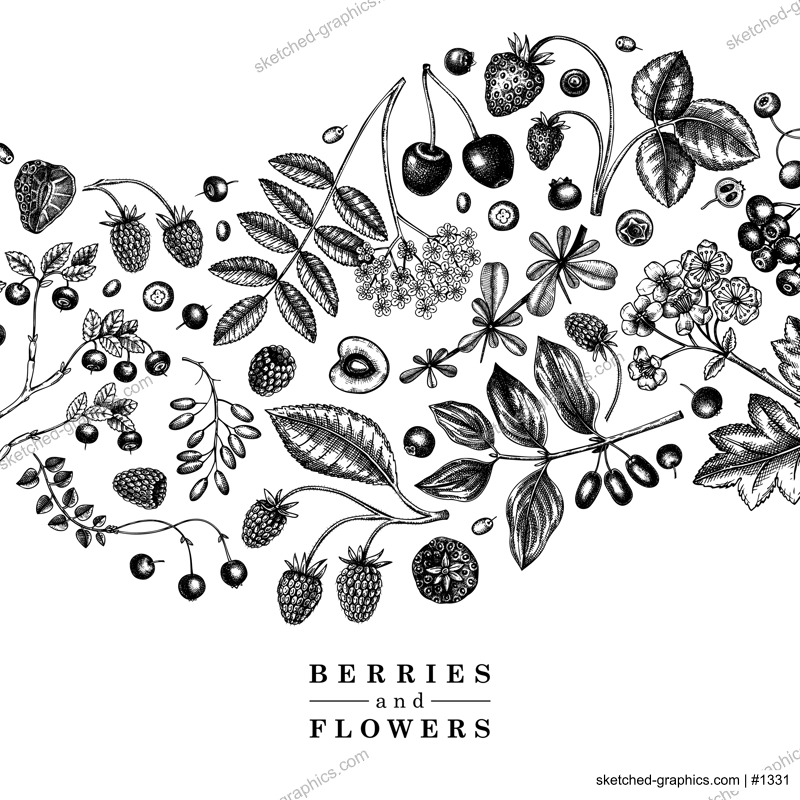 Wild berries card or invitation sketched style. Hand drawn fruits and flowers vector frame design. Vintage forest plants sketch. Summer berries - strawberry, raspberry, bilberry, blackberry, cherry.