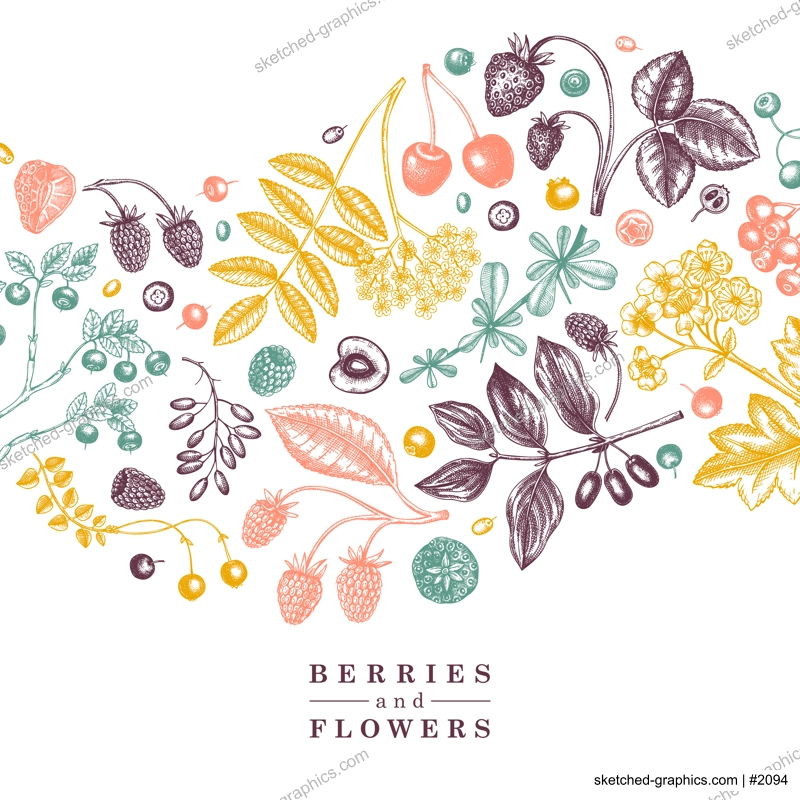 Wild berries card or invitation in engraved style. Hand drawn fruits and flowers vector frame design. Vintage plants sketch. Summer berries - strawberry, raspberry, bilberry, blackberry, cherry.