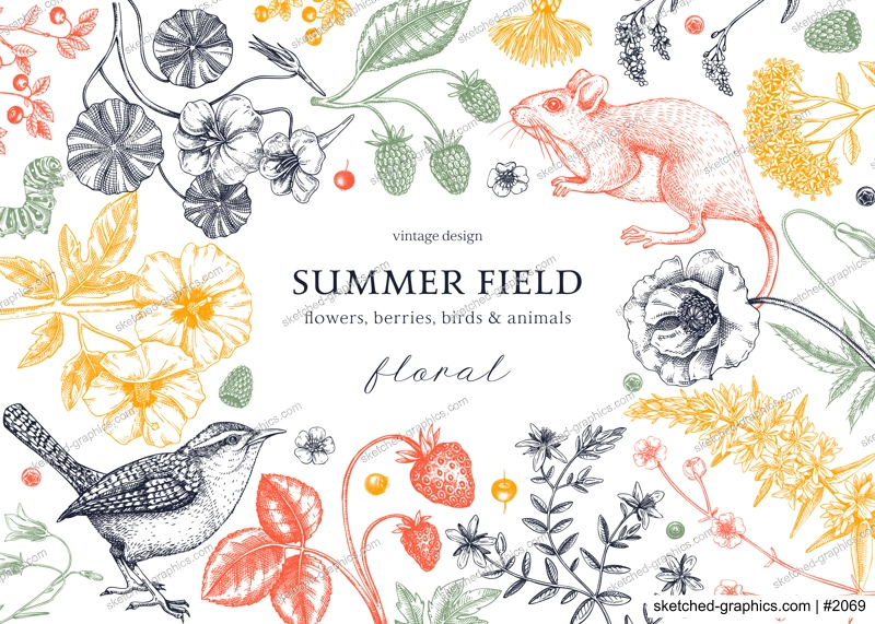 Summer background in color. Floral banner design. Wildlife sketches. Wildflowers botanical illustration. Hand-drawn field flowers, birds, and animals for wedding invitation, frame, card.