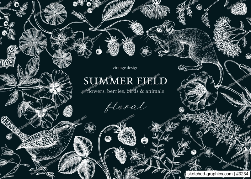 Vintage summer background. Floral banner design. Wildlife sketches on chalkboard. Wildflowers botanical illustration. Hand-drawn field flowers, birds, and animals for  invitation, frame, card.