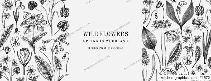Horizontal vintage banner with wildflowers sketches. Floral design in sketched style. Delicate black contoured blooming flowers border. Spring woodland or garden botanical vector background for print