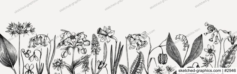 Horizontal vintage banner with wildflowers sketches. Floral backdrop in engraved style. Delicate contoured blooming flowers and leaves border. Spring woodland or garden botanical vector background