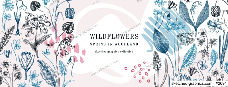 Trendy banner with wildflowers sketches and abstract elements. Floral design in collage style. Delicate contoured blooming flowers and leaves border. Spring woodland botanical vector background