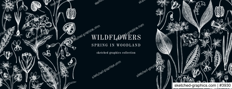 Horizontal vintage banner with wildflowers sketches. Floral design on chalkboard. Delicate contoured blooming flowers and leaves border. Spring woodland or garden botanical vector background