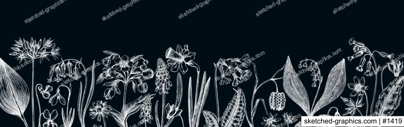 Horizontal vintage banner with wildflowers sketches. Floral backdrop on chalkboard. Delicate contoured blooming flowers and leaves border. Spring woodland or garden botanical vector background