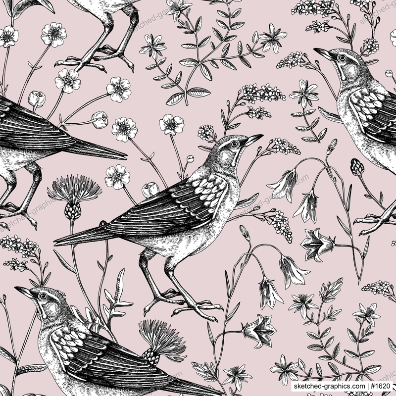 Summer background. Floral seamless pattern. Wildflowers and birds vector illustration in sketch style. Perfect for textile, wrapping paper, packaging, fabrics.