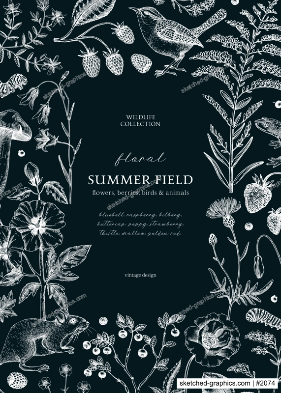 Retro style floral border design. Vintage summer background. Wildlife sketches on chalkboard. Wildflowers botanical illustration. Hand-drawn field flowers, birds, and animals for wedding invitation
