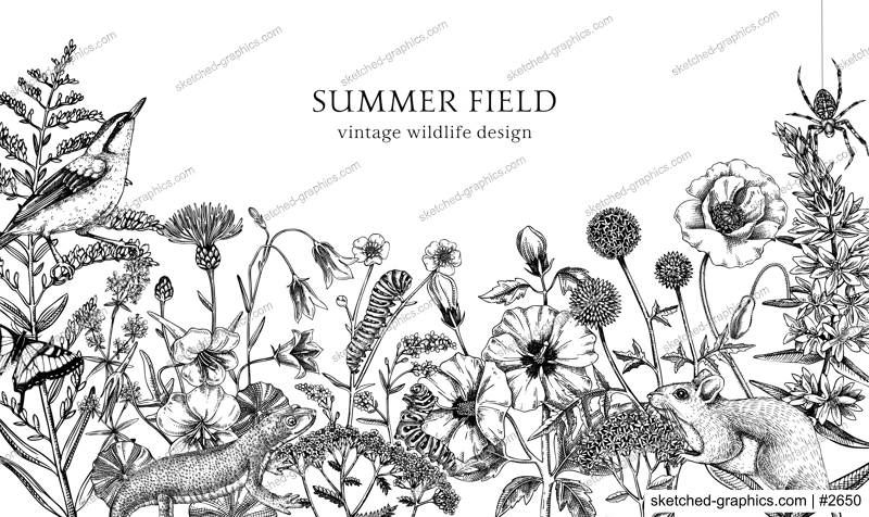 Summer design  in sketched style. Botanical drawings of wildflowers, herbs, meadows, berries, animals and birds. Vintage wildlife hand-drawn illustrations. Field plants isolated on white background 