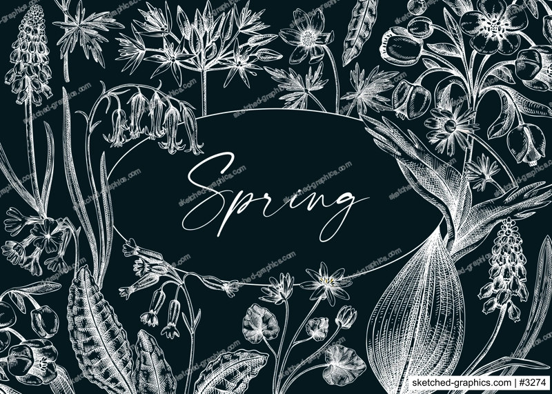 Vintage spring background. Hand drawn vector illustration. Floral frame on chalkboard. Woodland wild flower sketches. Wildflowers design template