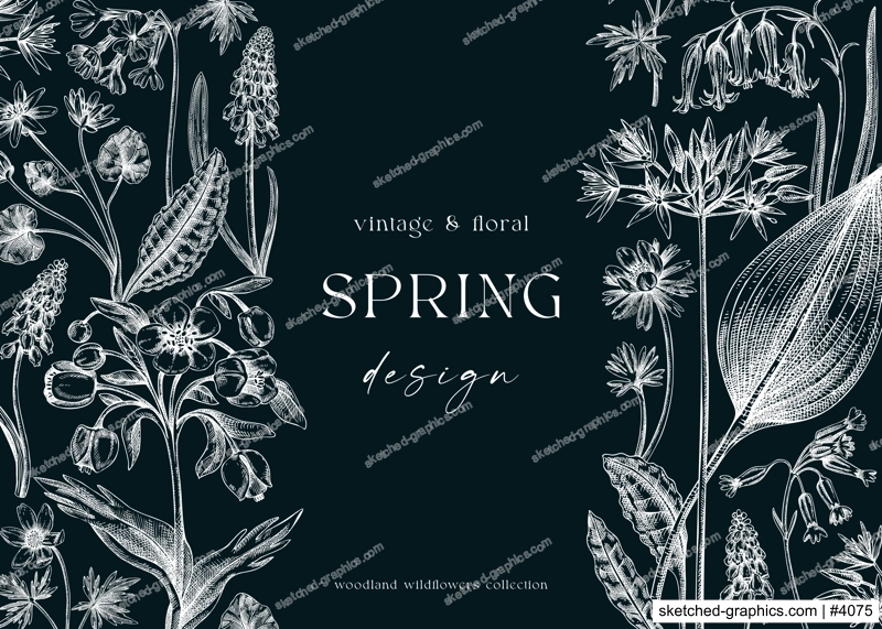Vintage spring background. Hand drawn vector illustration. Floral frame on chalkboard. Woodland wild flower sketches. Wildflowers design template