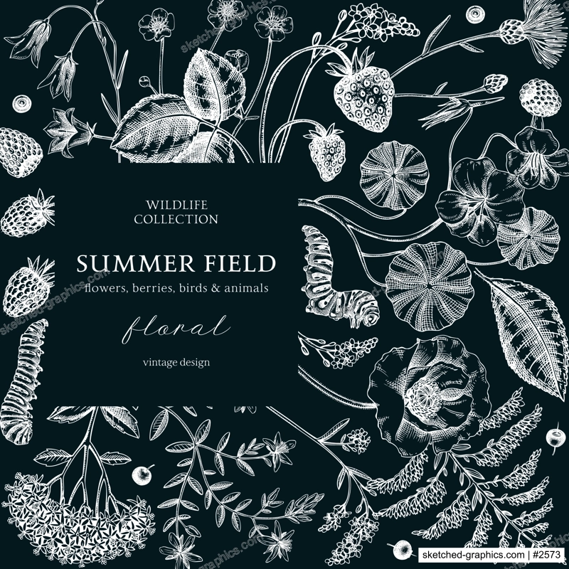 Summer background in color. Floral frame design in sketch style. Botanical drawings of wildflowers, herbs, meadows, berries. Vintage field of flowers hand-drawn illustrations for wedding invitation.