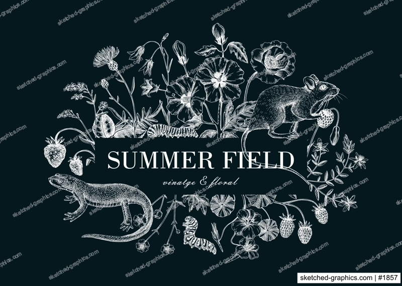 Vintage summer background. Floral frame design. Wildlife sketches. Wildflowers, meadows, herbs botanical illustration. Hand-drawn field flowers, birds, animals. Retro style invitation, frame, card.