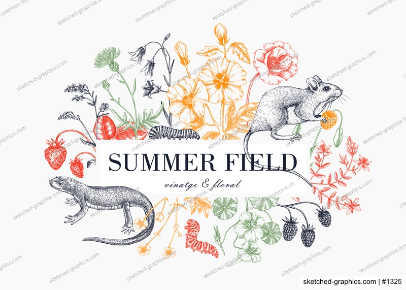 Vintage summer background. Floral frame design. Wildlife sketches. Wildflowers, meadows, herbs botanical illustration. Hand-drawn field flowers, birds, animals. Retro style invitation, frame, card.