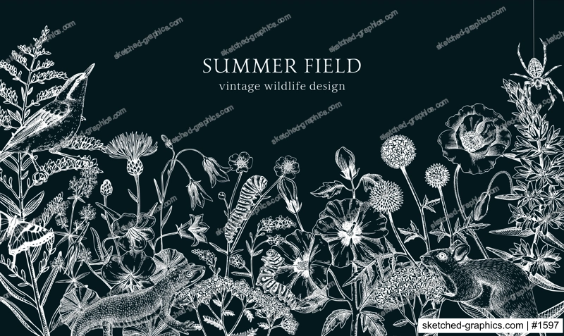 Summer design  in sketched style. Botanical drawings of wildflowers, herbs, meadows, berries, animals and birds. Vintage wildlife hand-drawn illustrations. Field plants background on chalkboard