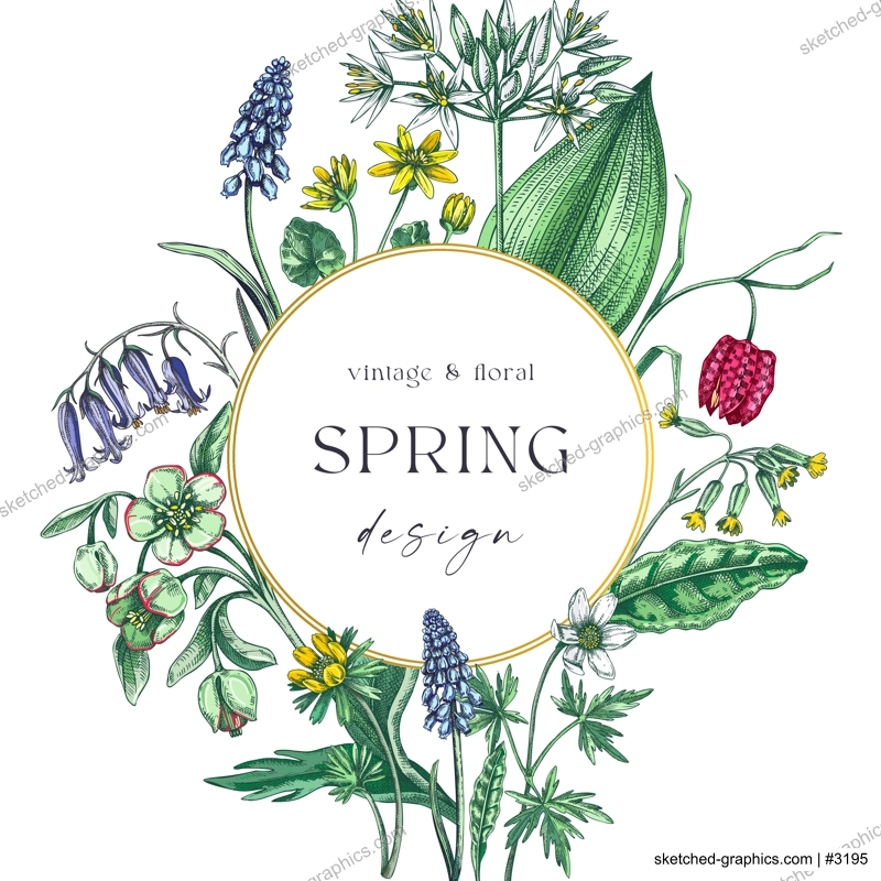 Elegant spring poster design. Wildflowers print in color. Woodland wild flower sketches. Floral background. Botanical card, invitation template . Hand drawn vector illustration, NOT AI