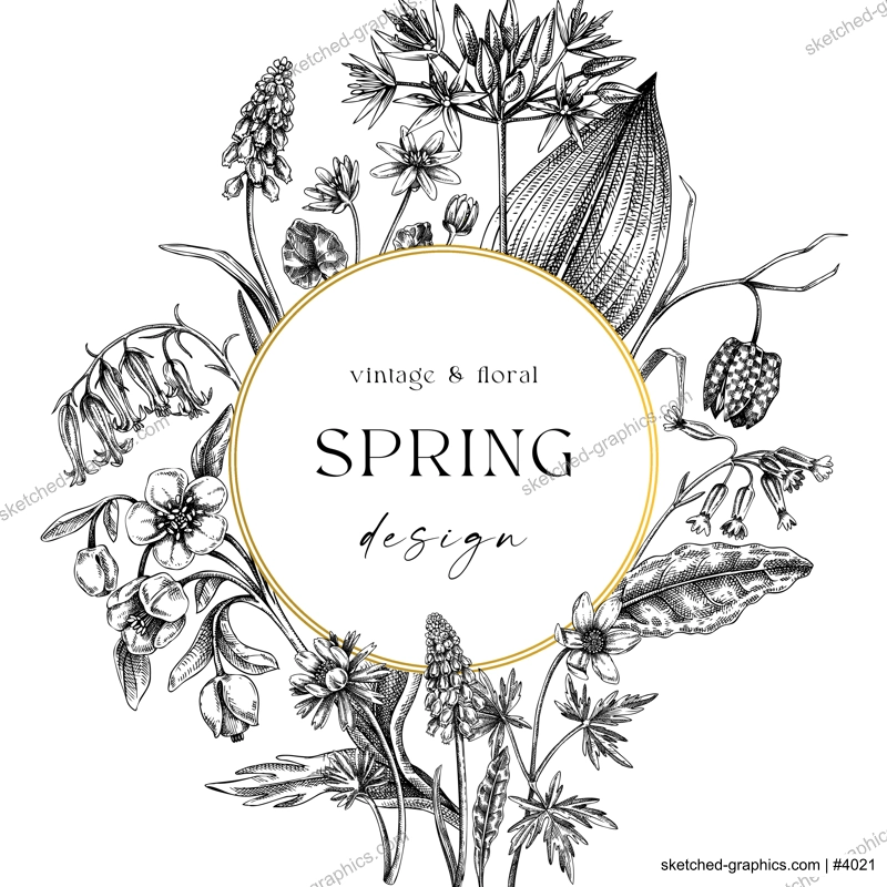 Elegant spring poster design. Wildflowers print in color. Woodland wild flower sketches. Floral background. Botanical card, invitation template . Hand drawn vector illustration, NOT AI