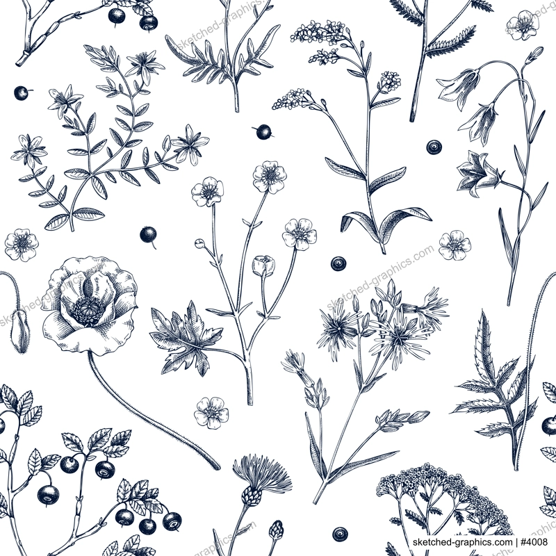 Summer background with flowers and berries. Wildflowers seamless pattern in sketch style. Herbs, meadows, flowering plants vector illustrations. Floral design in engraved style for textile or fabric