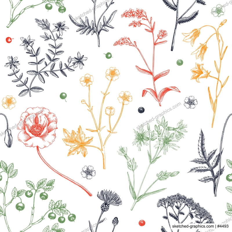 Summer background with flowers and berries. Wildflowers seamless pattern in sketch style. Herbs, meadows, flowering plants vector illustrations. Floral design in engraved style for textile or fabric