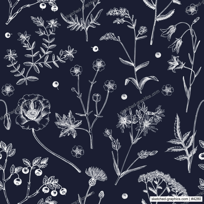 Summer background with flowers and berries. Wildflowers seamless pattern in sketch style. Herbs, meadows, flowering plants vector illustrations. Floral design in engraved style for textile or fabric