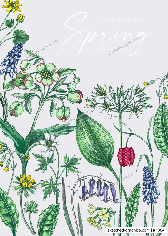 Delicate spring background. Wildflowers. Woodland wild flower sketches. Floral card, wedding invitation design template. Hand drawn vector illustration, NOT AI generated