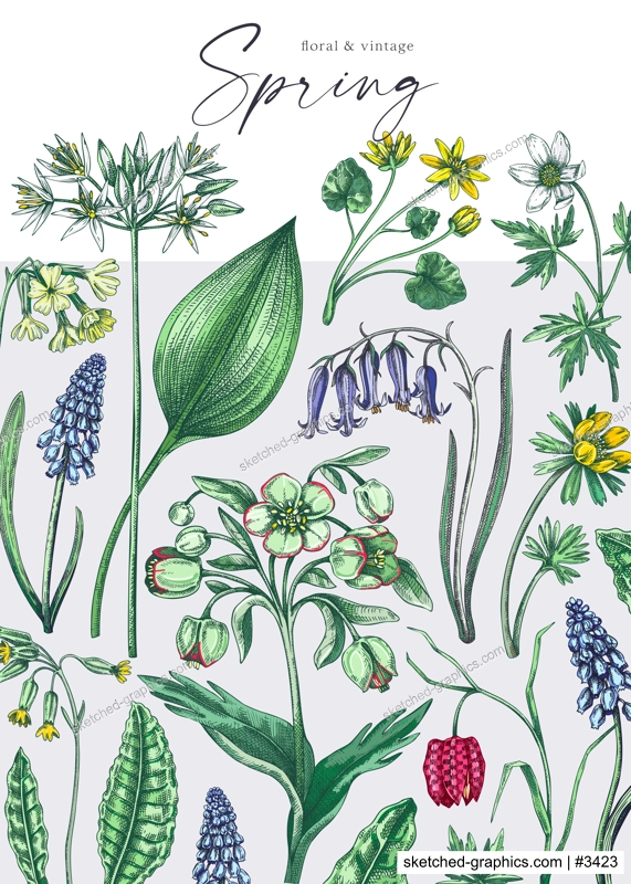 Delicate spring design template. Wildflowers in color. Woodland wild flower sketches. Floral background, greeting card or invitation. Hand drawn vector illustration, NOT AI