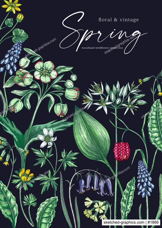 Delicate spring design template. Wildflowers in color. Woodland wild flower sketches. Floral background, greeting card or invitation. Hand drawn vector illustration, NOT AI