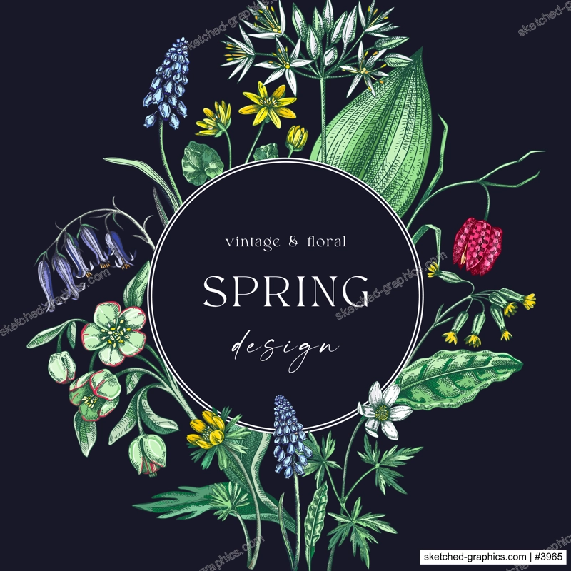 Elegant spring poster design. Wildflowers print in color. Woodland wild flower sketches. Floral background. Botanical card, invitation template . Hand drawn vector illustration, NOT AI