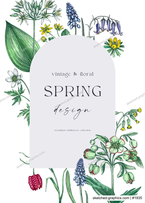 Elegant spring poster design. Wildflowers print in color. Woodland wild flower sketches. Floral background. Botanical card, invitation template . Hand drawn vector illustration, NOT AI