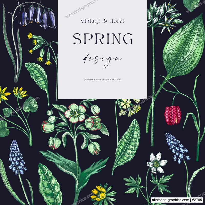 Elegant spring poster design. Wildflowers print in color. Woodland wild flower sketches. Floral background. Botanical card, invitation template . Hand drawn vector illustration, NOT AI