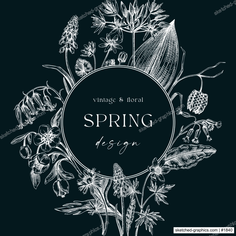 Elegant spring poster design. Wildflowers print in color. Woodland wild flower sketches. Floral background. Botanical card, invitation template . Hand drawn vector illustration, NOT AI