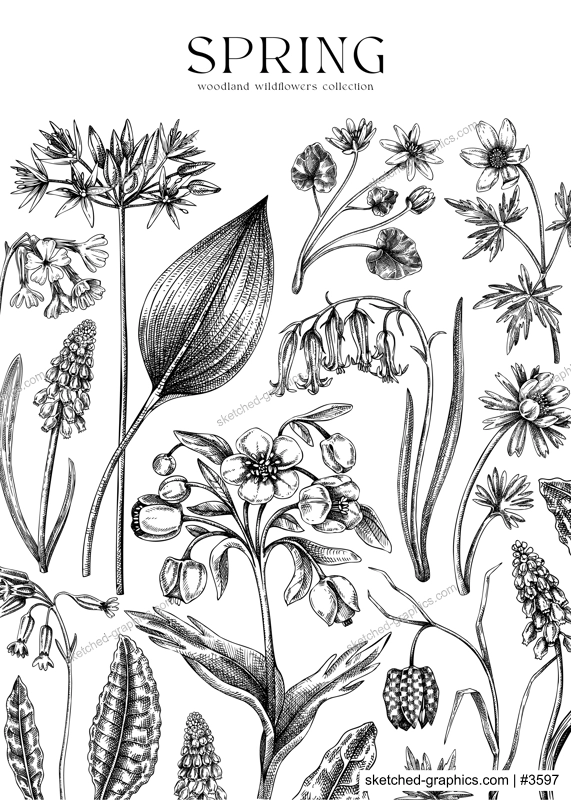 Vintage spring background. Wildflowers. Woodland wild flower sketches. Floral card, wedding invitation design template. Hand drawn vector illustration, NOT AI generated