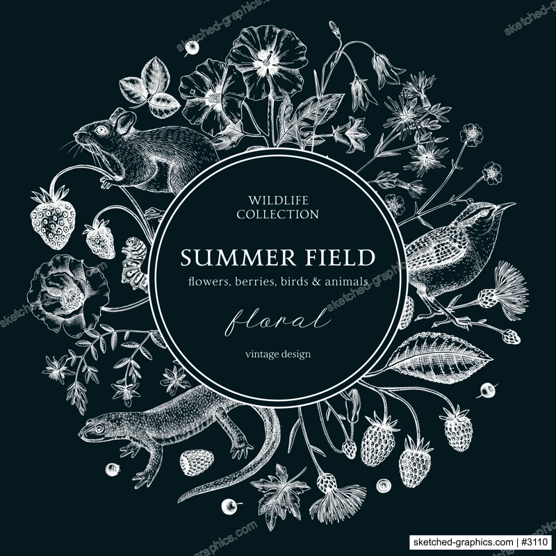 Summer background on chalkboard. Floral wreath design in vintage style. Wildflowers botanical illustration. Hand-drawn field of flowers, birds, and animals for wedding invitation, decoration.