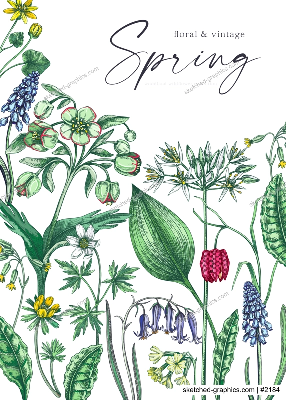 Delicate spring design template. Wildflowers. Woodland wild flower sketches. Floral background, greeting card or invitation. Hand drawn vector illustration, NOT AI