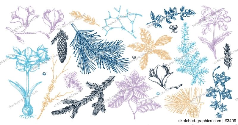 Winter flower, conifer trees, evergreen plants sketches. Vintage Christmas design elements in color. Hand drawn vector illustration. NOT AI generated