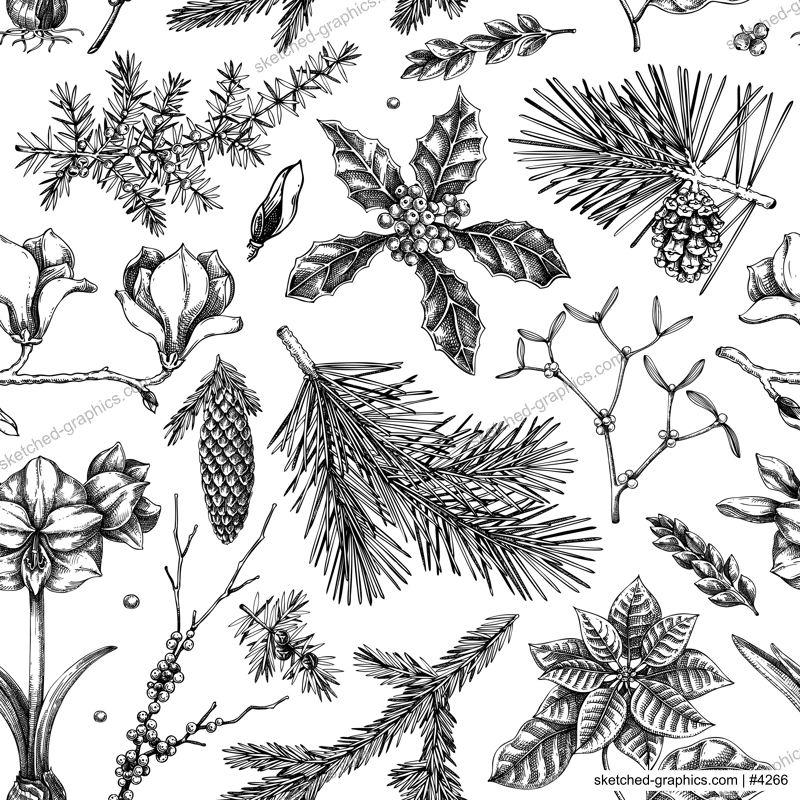  Winter garden seamless pattern. Christmas background. Winter flowers, conifer tree sketches. Hand drawn vector illustration. NOT AI generated
