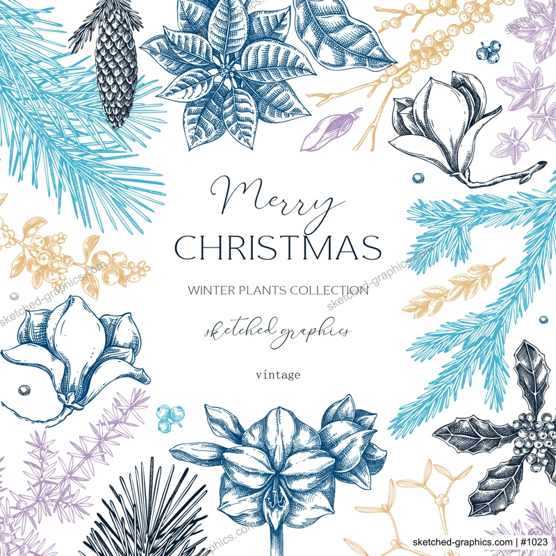 Winter nature frame design. Merry Christams card template. Conifer trees, winter flowers sketches. Hand-drawn vector illustration. NOT AI generated