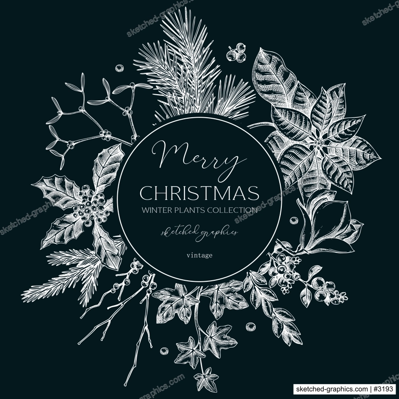 Winter nature wreath design. Christams card template. Conifer trees, winter flowers sketches. Hand-drawn vector illustration on chalkboard. NOT AI generated