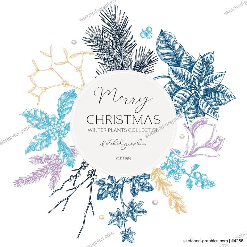 Winter nature wreath design. Merry Christams card template. Conifer trees, winter flowers sketches. Hand-drawn vector illustration. NOT AI generated