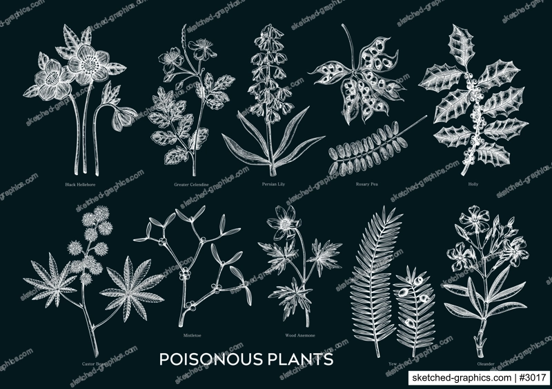 Witch herbs and poisonous plants hand drawn vector illustrations in sketch style. Witchcraft apothecary, alternative medicine, ayurveda design elements on chalkboard.NOT AI generated