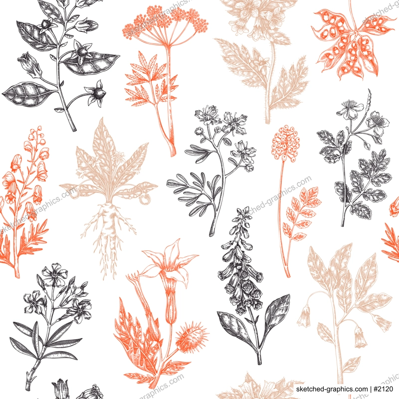 Witch herbs seamless pattern. Bohemian background. Poisonous plants and flowers design. NOT AI generated